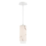 Aragon 15W 1 4CCT LED Mini Pendant 12.5 Inch Tall X 4.5 Inch Wide by dweLED - PD-49512