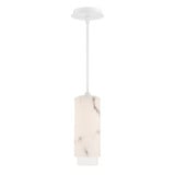 Aragon 15W 1 4CCT LED Mini Pendant 12.5 Inch Tall X 4.5 Inch Wide by dweLED - PD-49512
