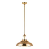 Palmetto 1 Light Medium Pendant by Alora - PD344014