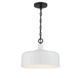 1 Light Mid Century Modern Medium Pendant by Meridian - M70103