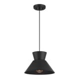 1 Light Medium Pendant 7.75 Inch Tall by Meridian - M7049