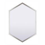 Livvy Mirror 31 Inch Tall and 22 Inch Wide by Canarm - D22H