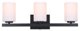 Jae 3 Light Vanity Light by Canarm - IVL1093A03