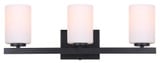 Jae 3 Light Vanity Light by Canarm - IVL1093A03