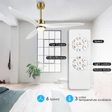 Aero 3 Blade Ceiling Fan with Light Kit 21 Inch H and 60 Inch W by Brio  - AB3060