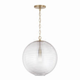 Dolan 1 Light Medium Pendant by Capital - 349911