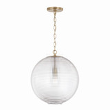 Dolan 1 Light Medium Pendant by Capital - 349911