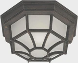 Webb 1 Light 11.5 Inch Wide Outdoor Flush Mount by Forte - 17005-01