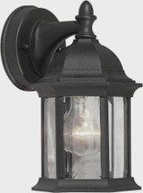 Chester 1 Light Outdoor Wall Lantern 9.5 Inch Tall by Forte - 1776-01