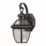 Cambridge 1 Light Outdoor Wall Lantern 12 Inch Tall by Forte - 1101-01