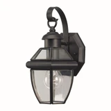 Cambridge 1 Light Outdoor Wall Lantern 12 Inch Tall by Forte - 1101-01