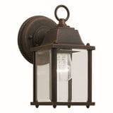 Preston 1 Light Seeded Glass Outdoor Wall Lantern by Forte - 1705-01
