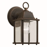 Preston 1 Light Seeded Glass Outdoor Wall Lantern by Forte - 1705-01