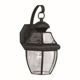 Cambridge 1 Light Outdoor Wall Lantern 14 Inch Tall by Forte - 1201-01