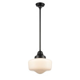 Schoolhouse 1 Light Pendant 12 Inch Tall and 14 Inch Wide by DVI - DVP7521