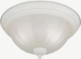 Austin 2 Light 13.25 Inch Wide Flush Mount by Forte - 20001-02