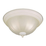 Austin 2 Light 13.25 Inch Wide Steel Flush Mount by Forte - 2037-02