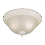 Austin 2 Light 13.25 Inch Wide Steel Flush Mount by Forte - 2037-02