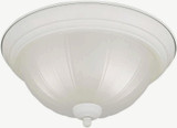 Austin 2 Light 11.25 Inch Wide Flush Mount by Forte - 20000-02