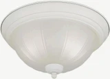 Austin 2 Light 11.25 Inch Wide Flush Mount by Forte - 20000-02
