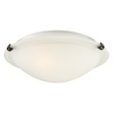 Cirrus 2 Light 12 Inch Wide Flush Mount by Forte - 2799-02