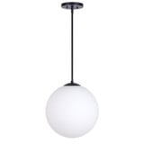 Selene 1 Light Pendant In Transitional Style 14.5 x 14 Inches by Forte  - 2765-01