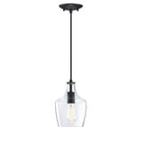 Milo 1 Light Small Pendant 9.75 Inch Tall by Forte - 2679-01-04