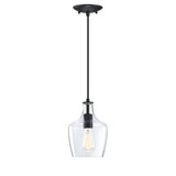 Milo 1 Light Small Pendant 9.75 Inch Tall by Forte - 2679-01-04