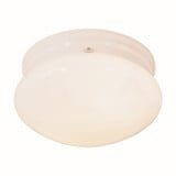 Button 2 Light 9.5 Inch Wide Flush Mount by Forte - 6003-02