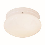 Button 2 Light 9.5 Inch Wide Flush Mount by Forte - 6003-02