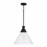 Paloma 1 Light Medium Pendant by Capital - 350311