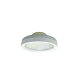 Accessory 25 Degree Premium TIR Optic with Ring by Nora - NLCBC-469A2POR