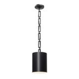 Alston 1 Light Mini Pendant by Crystorama 8680