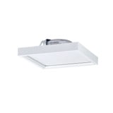 Surf 11W LED Regressed Edge Lit Flush Mount with Square Baffle by Nora - NLOS-S42