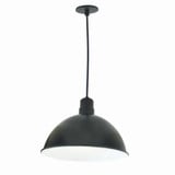 NRLM Series 48W LED Medium Pendant by Nora - NRLM-16C38LE4