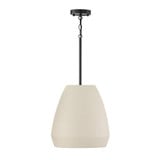 Della 1 Light Pendant 15.75 Inch Tall and 14.25 Inch Wide by Capital - 354211