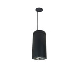 NYLD2 6 Series 12W LED Cylinder Reflector Cable Mount by Nora 6C101D4AC - NYLD2-6C101D4AC