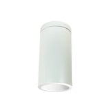1 Light 7.38 Inch Wide Cylinder Flush Mount with Reflector by Nora - NYLI-6SI1