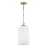 Cleo 1 Light Pendant 17.25 Inch Tall and 9 Inch Wide by Capital - 355811
