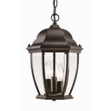 Wexford 3 Light Small Outdoor Pendant by Acclaim - 5036BW