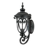Naples 1 Light Outdoor Wall Lantern 22.75 Inch Tall by Acclaim - 2111-2275