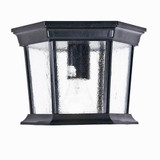 Dover 1 Light 11 Inch Wide Outdoor Flush Mount by Acclaim - 5275