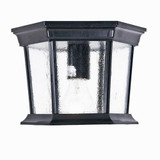 Dover 1 Light 11 Inch Wide Outdoor Flush Mount by Acclaim - 5275