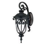 Naples 1 Light Clear Seeded Glass Outdoor Wall Lantern by Acclaim - 2112-2275