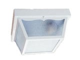 Builders Choice 2 Light 1 Inch Wide Outdoor Flush Mount by Acclaim - 4902WH