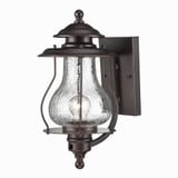Blue Ridge 1 Light Outdoor Wall Lantern by Acclaim - 8201