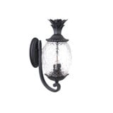 Lanai 3 Light Outdoor Wall Lantern by Acclaim - 7511