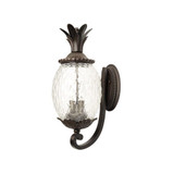 Lanai 2 Light Outdoor Wall Lantern by Acclaim - 7501