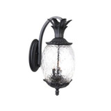 Lanai 3 Light Outdoor Wall Lantern 21.75 Inch Tall by Acclaim - 7512