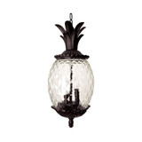 Lanai 3 Light Small Outdoor Pendant by Acclaim - 7516